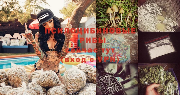 2c-b Михайловка